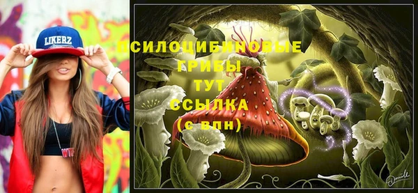 ALPHA PVP Алексин