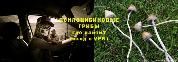 а пвп мука Алексеевка