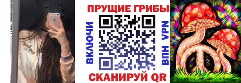 купить наркотики сайты  Черноголовка  Галлюциногенные грибы Psilocybine cubensis 